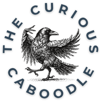 The Curious Caboodle Store